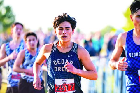 Two area runners compete at state meet