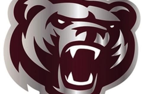 Bears baseball opens with two wins